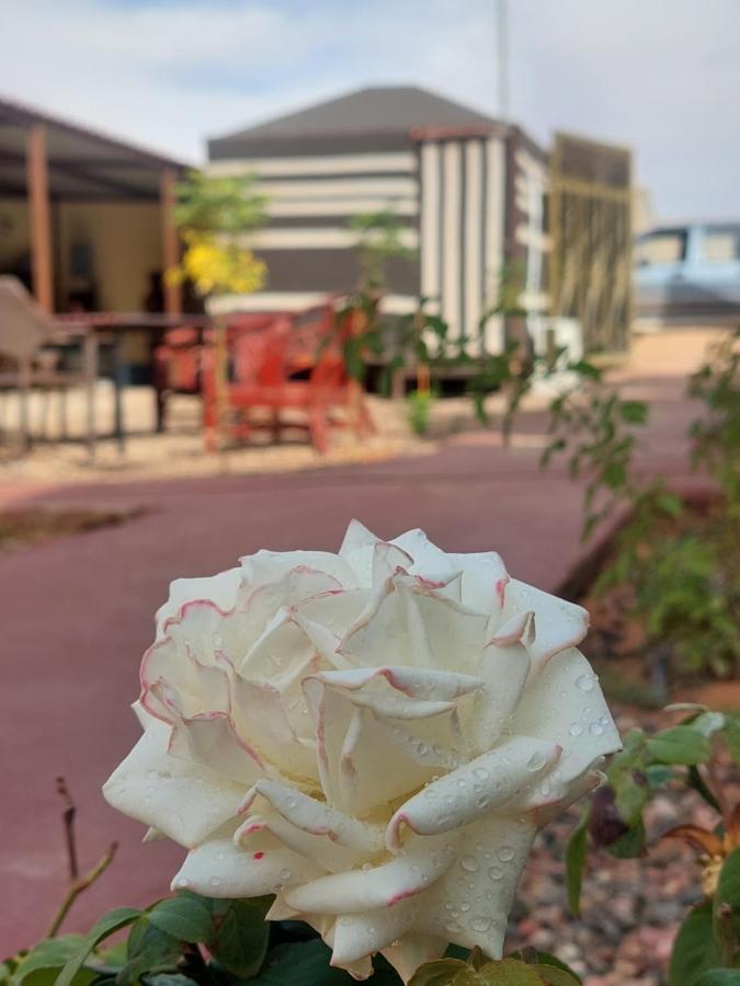Wadi Rum Oryx Hostel & Tours Εξωτερικό φωτογραφία